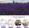 Dried Lavender Flowers, Dry Lavender Buds Bulk for Wedding Toss, Crafts, Sachets - 1/4 Pound